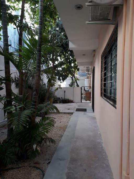 Estudio En Cancun Centro Eksteriør billede